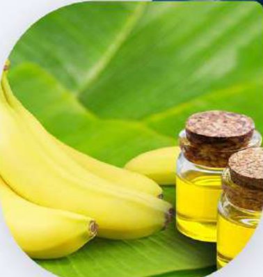 اسانس‌های مجاز بهداشتی نمای نزدیک